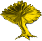 Hibernia Baum